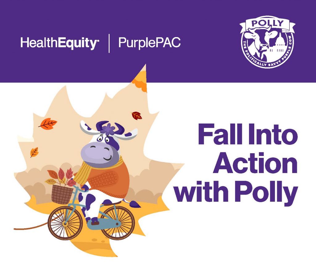 Polly fall campaign email header