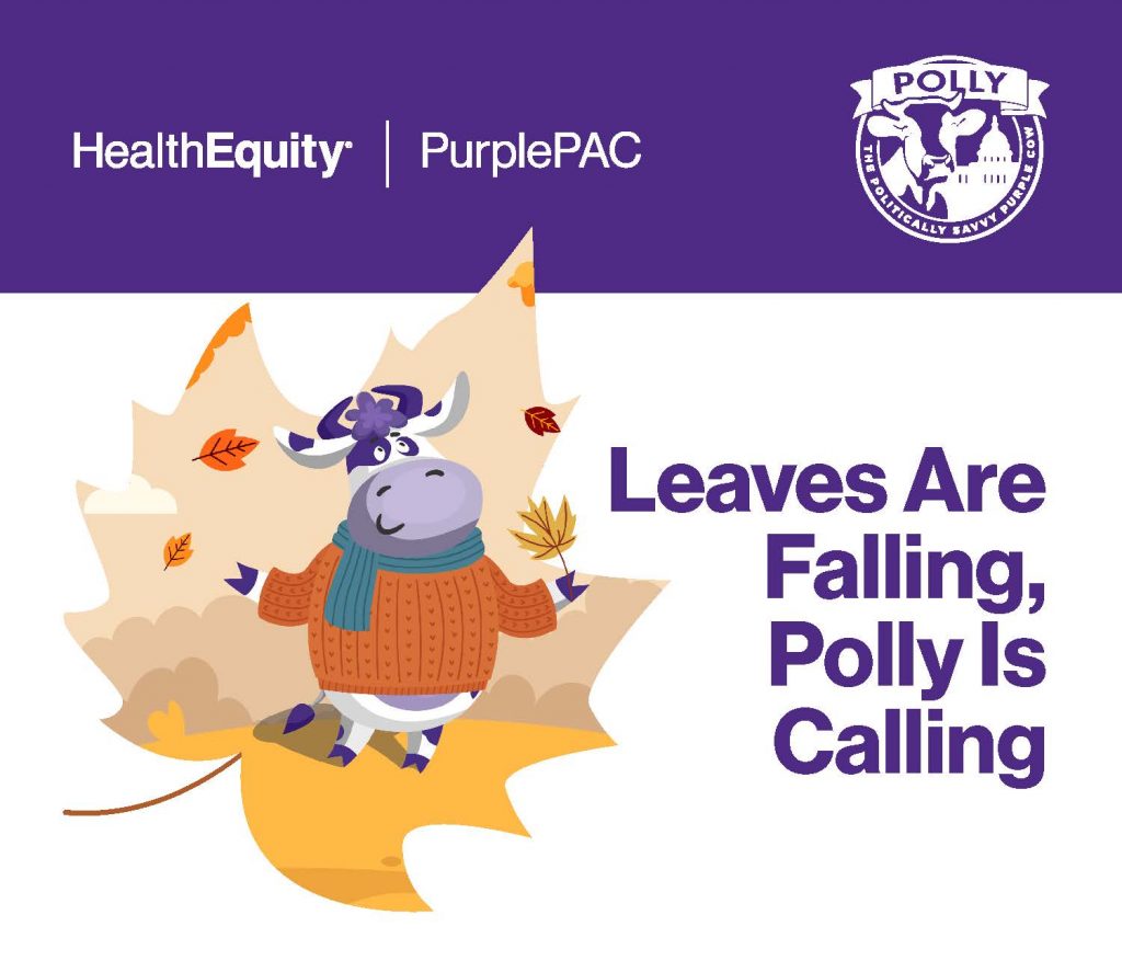 Polly fall campaign email header